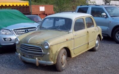 Fiat 1100-103 Quotidiana Ghia